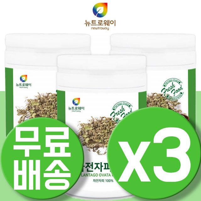 뉴트로웨이 인도산 100% 차전자피 분말 300g 3통 프리미엄 원료 사용 간편 섭취