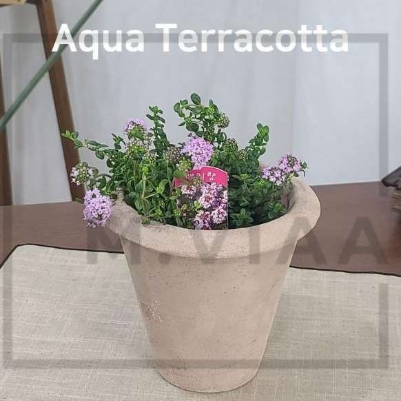 엠비아협력사 엠비아샵2 아쿠아 토분 13X15CM 콘 다육이화분 중형화분 화분도기 예쁜화분 중형도자기화분 다육화분