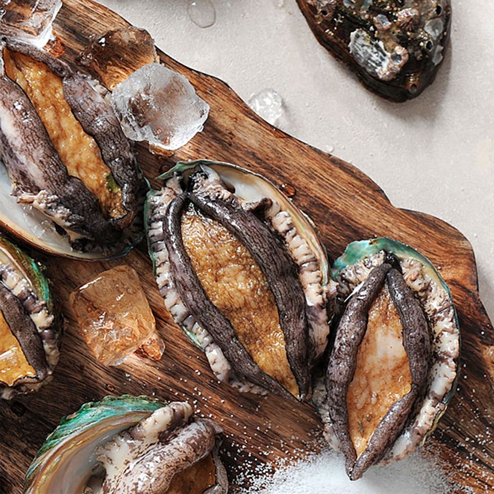 [푸토리] 완도 찾아온 특별한 선물 활전복 1.5kg / 2kg