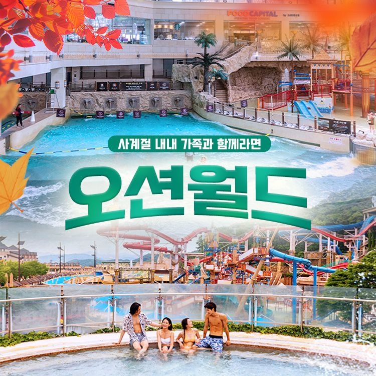 오션월드 (레이트어텀) 비발디파크 오션월드