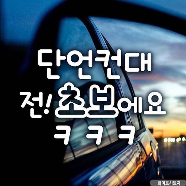 [하프클럽]자동차스티커 단언컨대전초보예요ㅋㅋㅋ