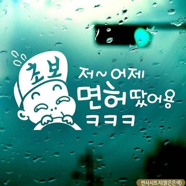 [하프클럽]저어제면허땄어용ㅋㅋㅋ 자동차스티커 반사