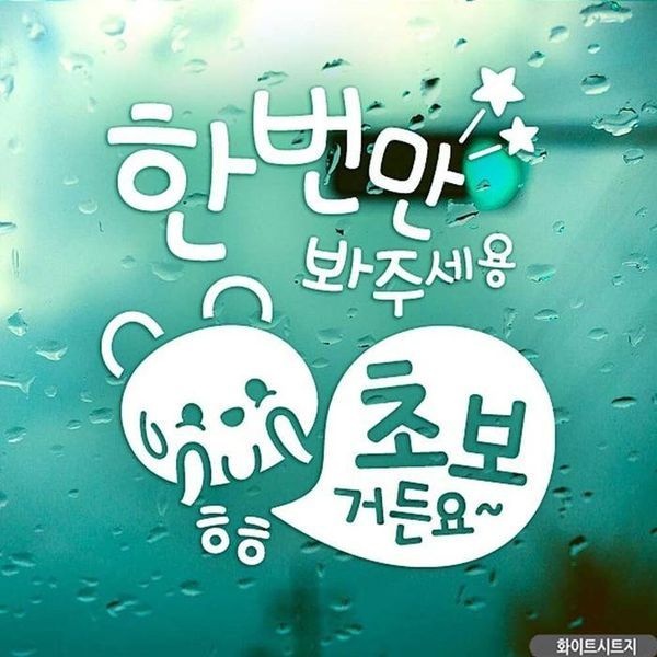 [하프클럽]자동차스티커 가 초보 한번 만 화이트