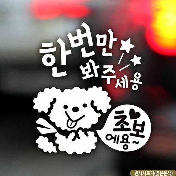 [하프클럽]한번 만 초보운전 자동차스티커 푸들 이