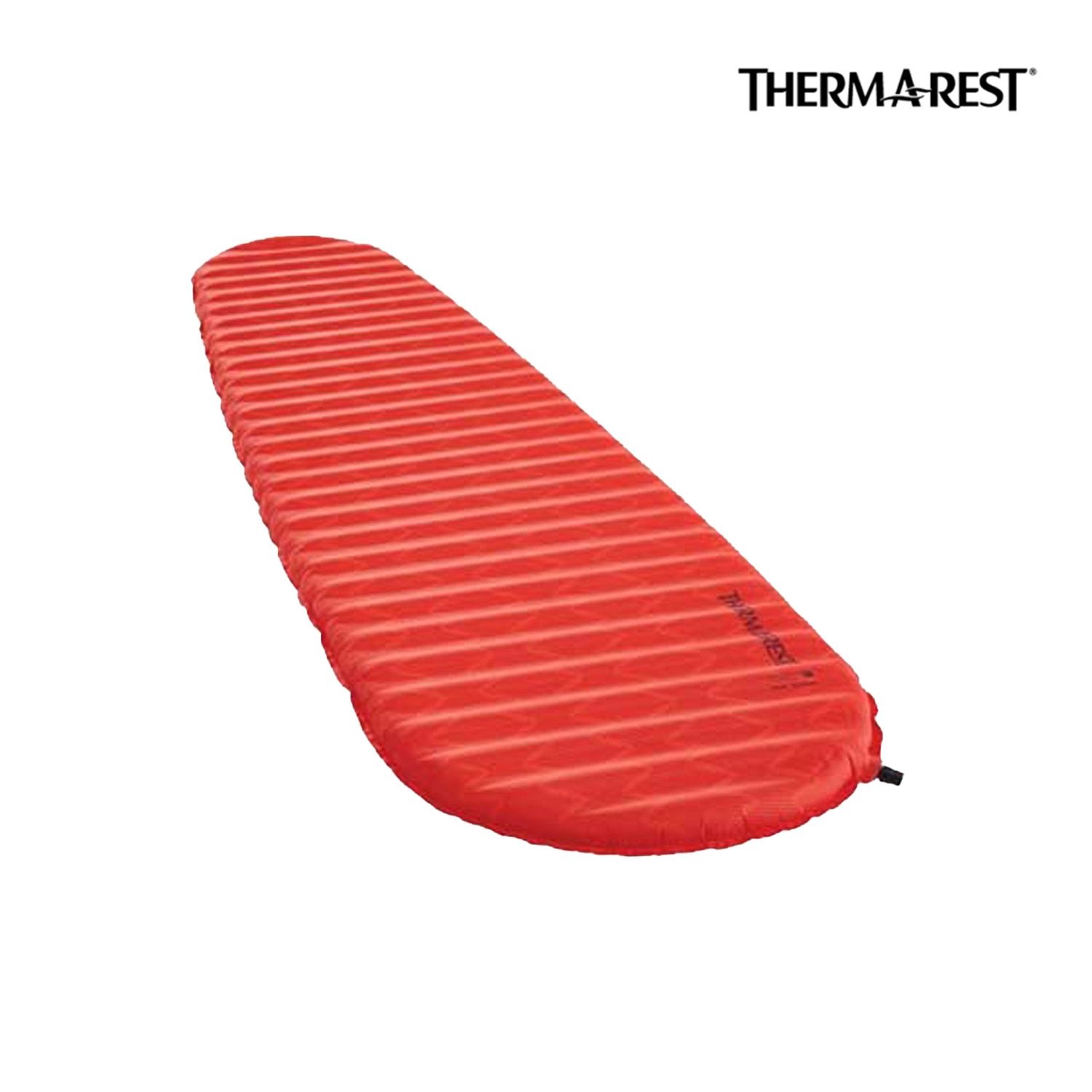 [롯데백화점] 랩 THERMAREST 써머레스트 프로라이트 아펙스 윙록 RW 매트리스 13257 LE1219221152