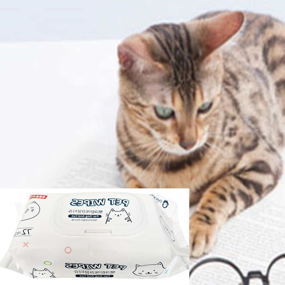 고양이똥꼬냄새 고양이똥꼬닦기 강아지눈물자국지우기 강아지 입주변냄새 바디티슈 : 롯데ON