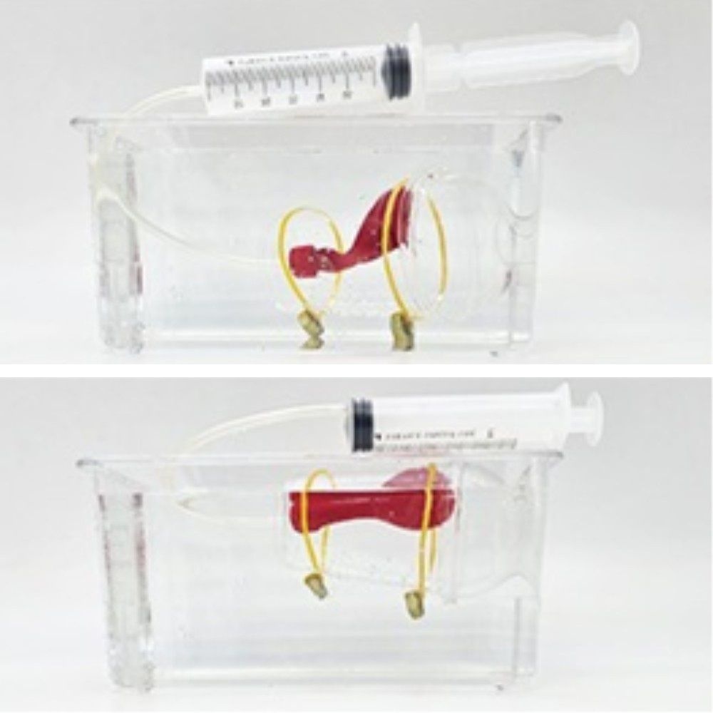 5인용 부력 잠수함만들기 과학교구 실험실 초등 고등