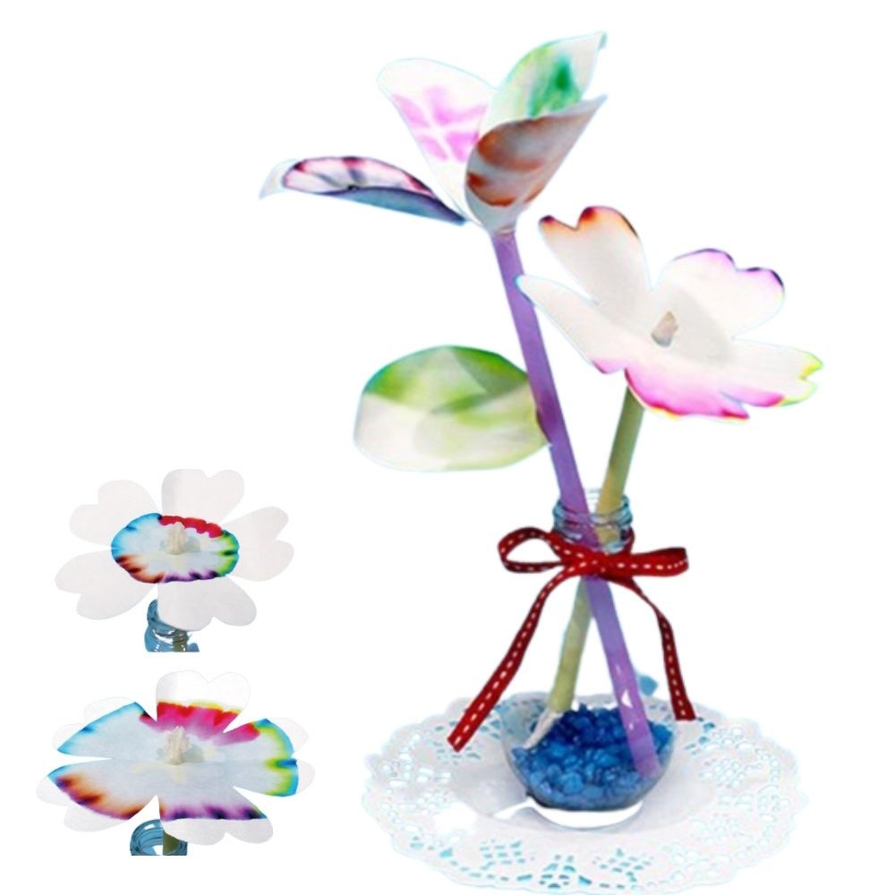 5인용 색소분리 크로마토그래피 꽃만들기 과학교재