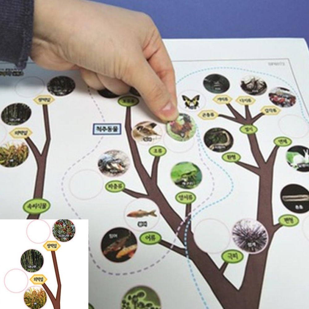 5인용 동물 식물 생물분류표 과학교구 초등학생 고등