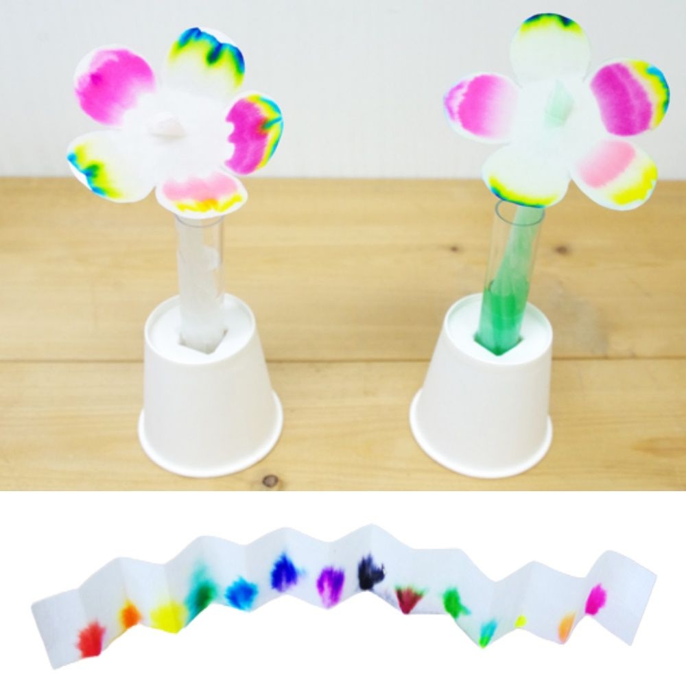 5인용 크로마토그래피 꽃만들기 과학교구 고등 초등