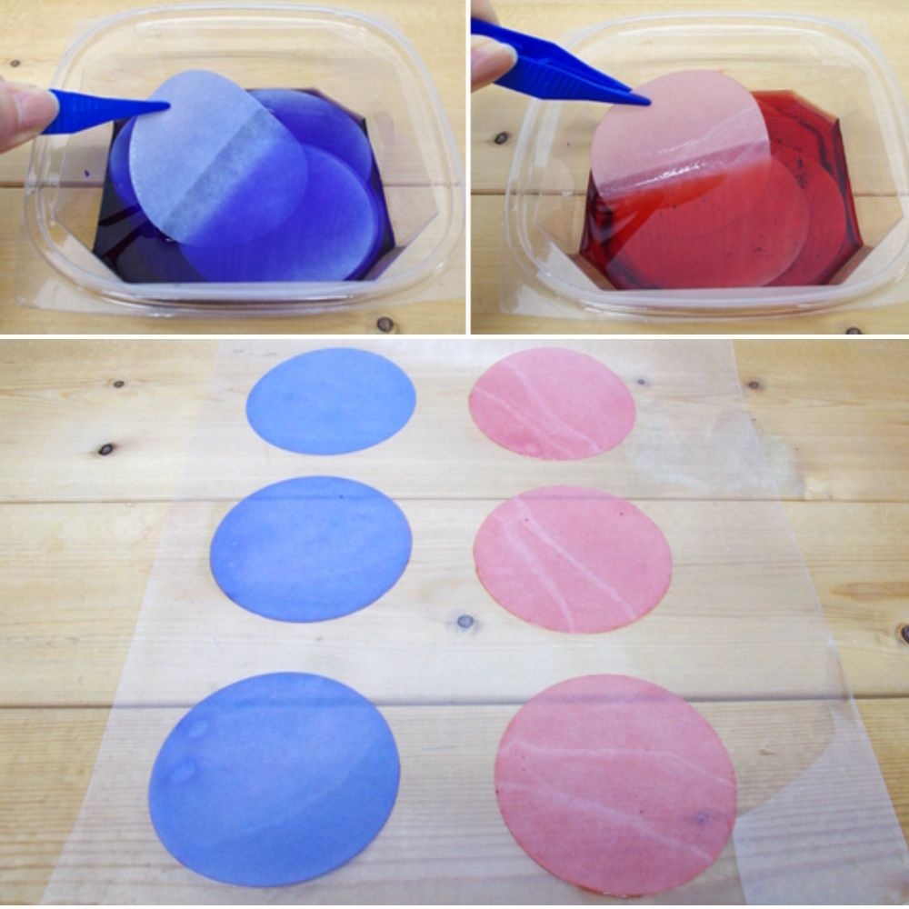 20인용 PH 리트머스종이 만들기 과학교구 초등학생