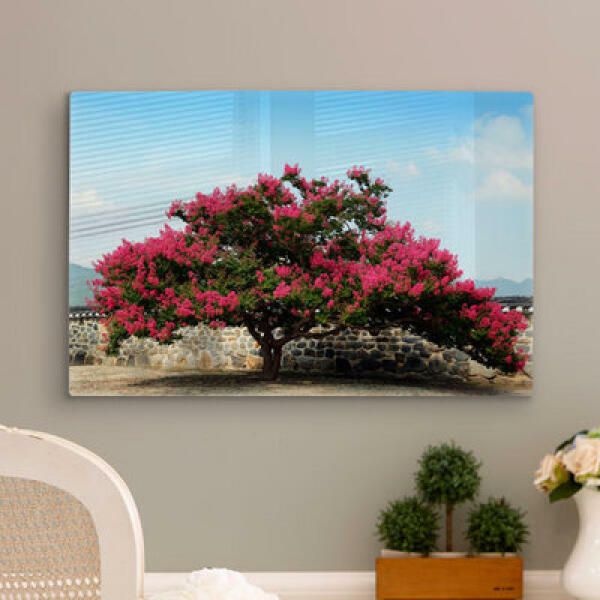 (현대Hmall) 아트박스/꾸밈 da226-폼아크릴액자58CmX38Cm_풍수붉은배롱나무