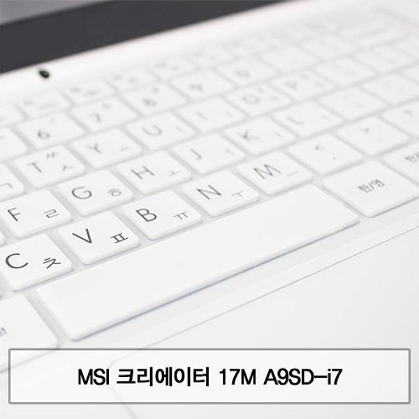 MSI 크리에이터 17M A9SD-i7 말싸미키스킨