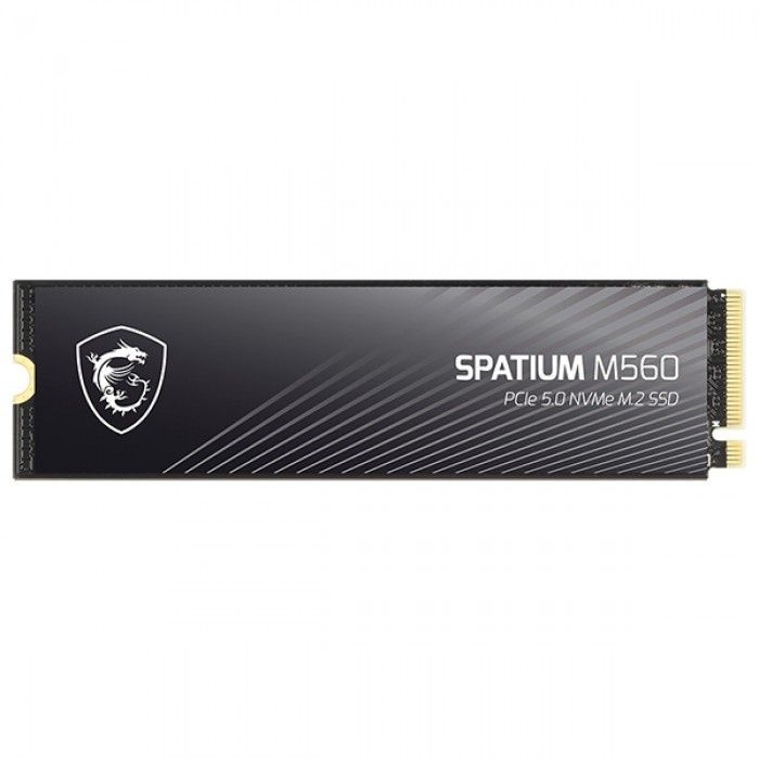 [오늘출발] MSI 엠에스아이 MSI SPATIUM M560 M.2 NVMe (1TB)