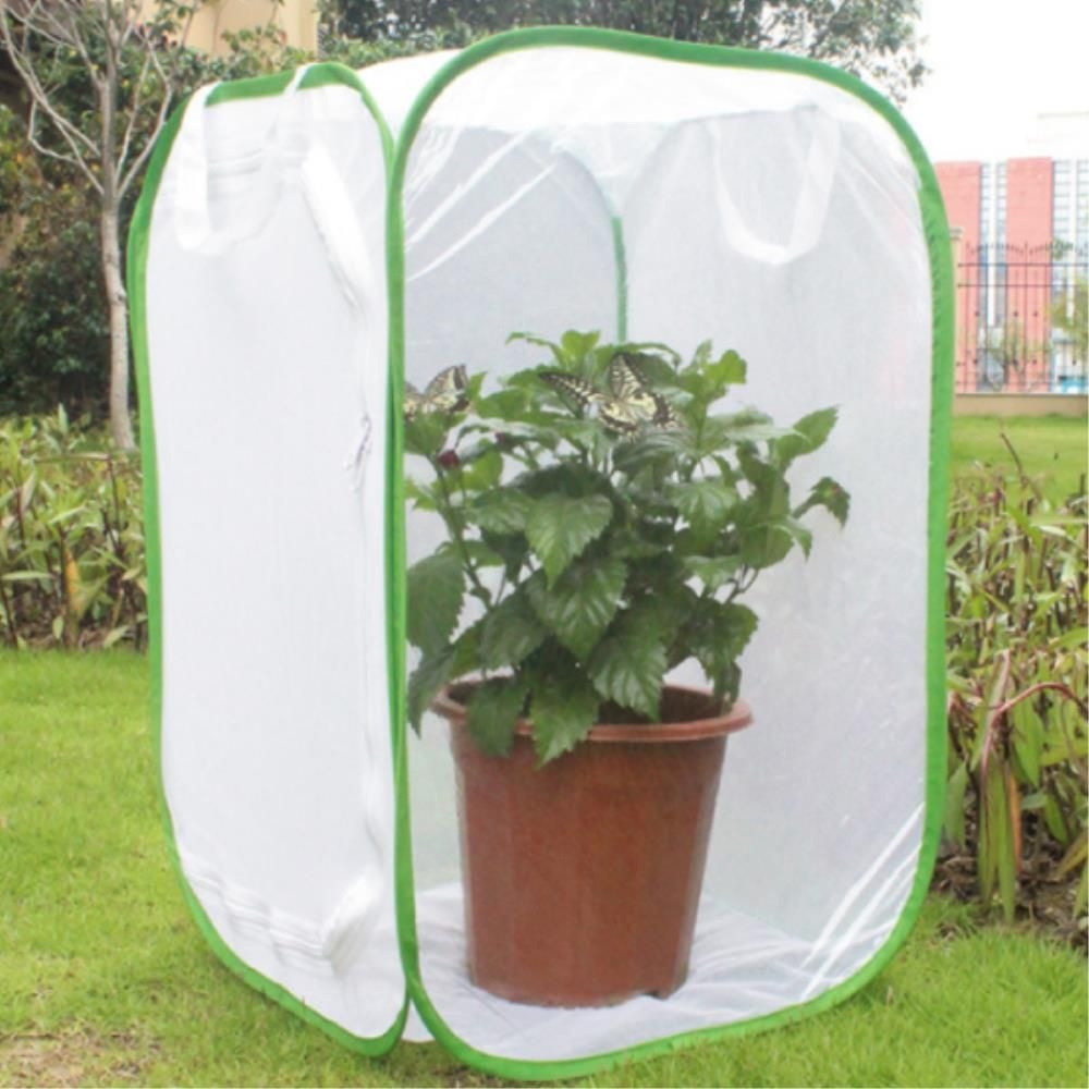 식물원 나비 곤충관찰 대형 망사천 사육망 생물실 교육용