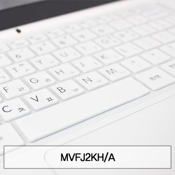 MVFJ2KH_A 말싸미키스킨