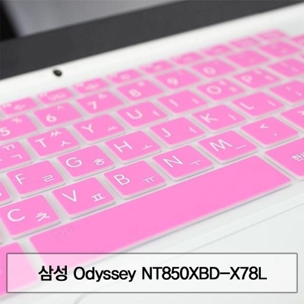 NT850XBD-X78L 말싸미키스킨