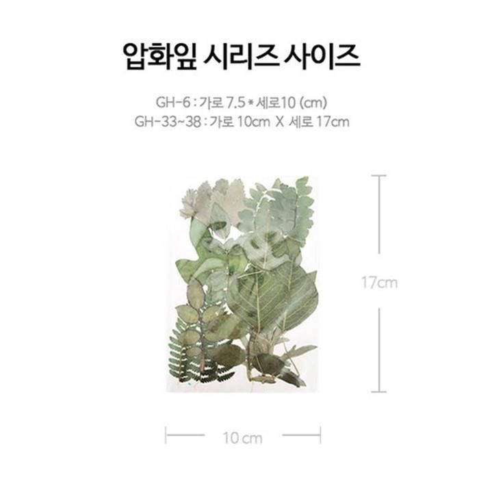 [마이모노샵] 편지지 액자 책갈피 만들기 DIY 압화 식물 잎사귀 2개
