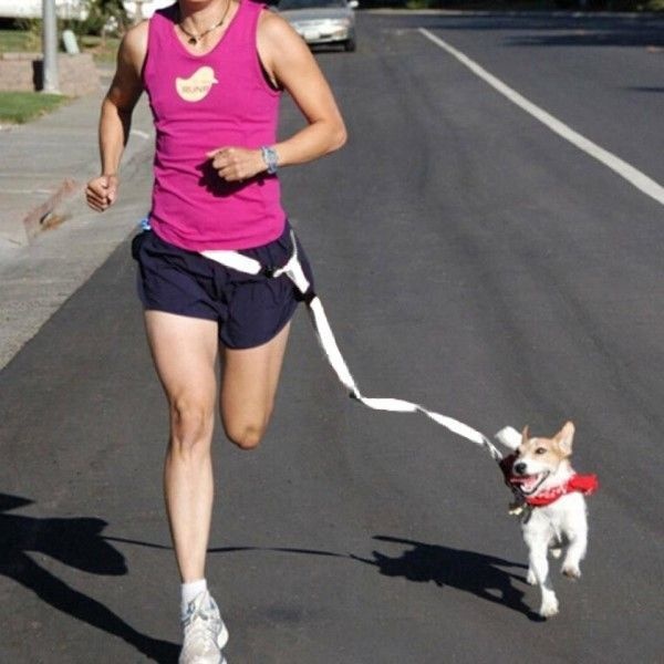 펫하쥬 흰색 강아지 핸즈프리 운동용 목줄 가슴줄 리드줄 끈 벨트 허리띠 허리밴드 후크 산책 운동 조깅