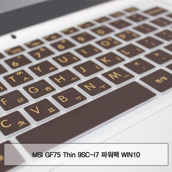 MSI GF75 Thin 9SC-I7 파워팩 WIN10 말싸미키스킨