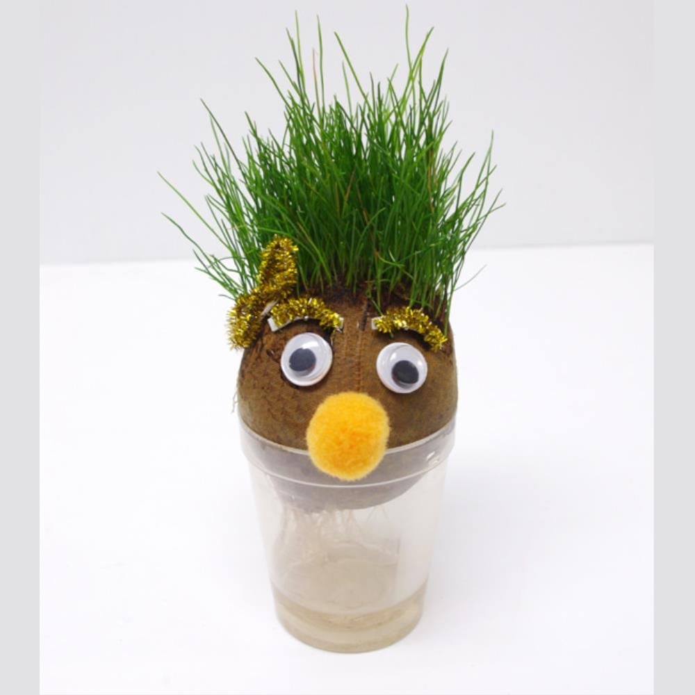 잔디인형 만들기 5인 초등 과학 방과후 수업 연구