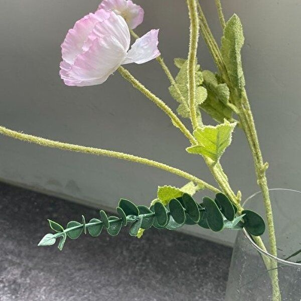 인테리어 촬영소품 유칼립투스 조화 B_WA9EECF