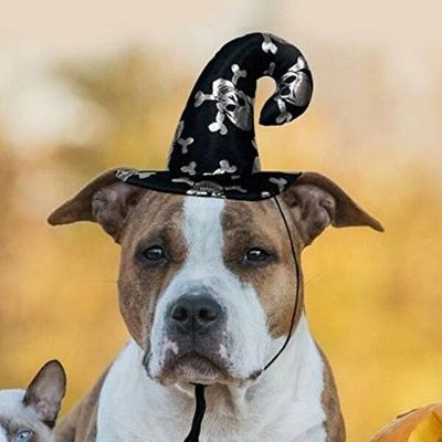 아이들을위한 개 할로윈 의상