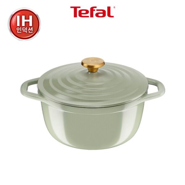 테팔 [테팔] 인덕션 세라믹 에어주물 페어 그린 양수냄비 24cm