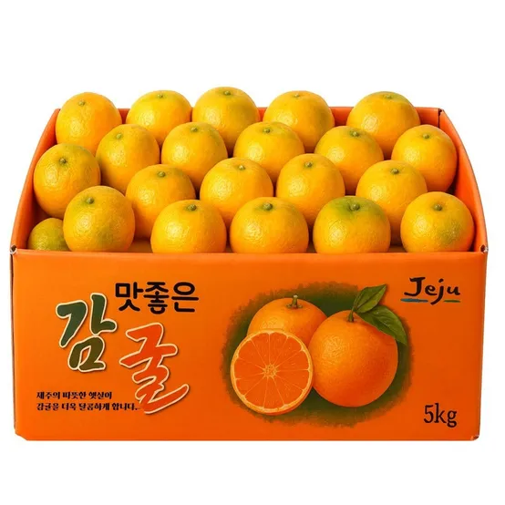 [제주땡큐베리팜] 제주 농장 직송 노지감귤  5kg