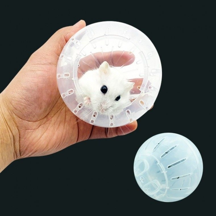 기니피그 쳇바퀴 마우스 헬스 햄스터 장난감 운동 놀이터 집꾸미기 방 볼