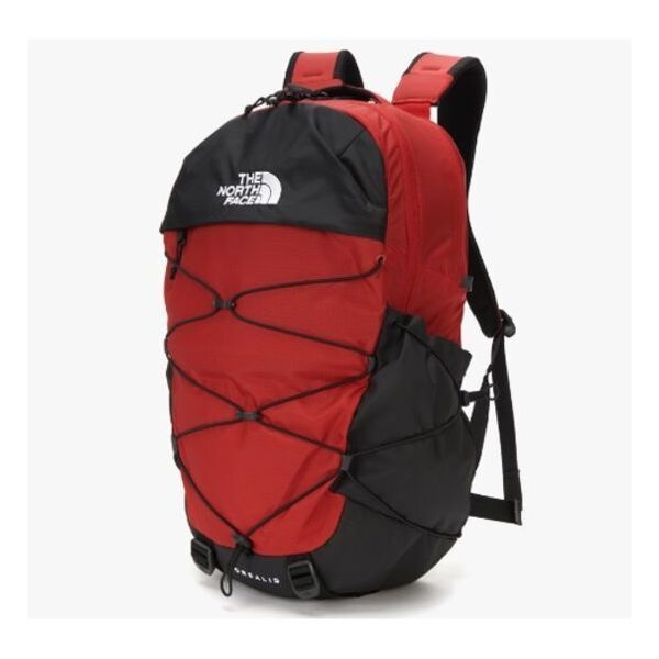 노스페이스 NM2DN31C 남여 28L 백팩 가방 보레알리스 KR 1385403