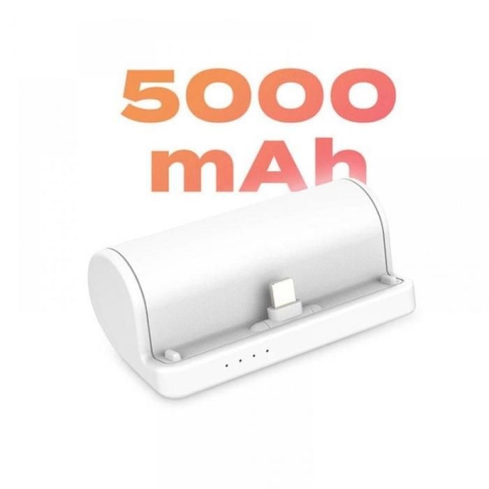 플레오맥스 거치형 도킹 배터리 5000mAh 보조배터리