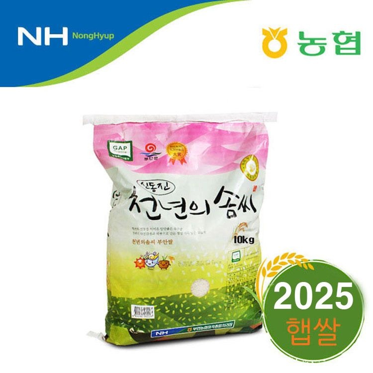 [온누리상품] 2025년 햅쌀 / 부안농협 천년의솜씨 신동진쌀 10kg / 당일도정
