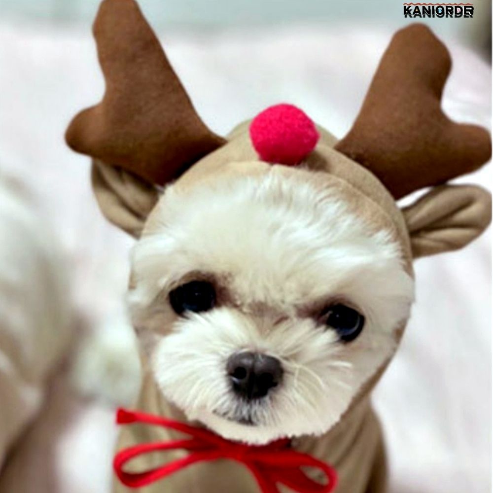 특이한 강아지옷 겨울 애견 의류 루돌프 강아지 후드 애완용품