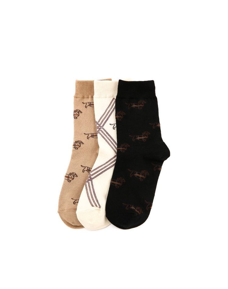 [롯데백화점] 닥스 레이디스 [25FW]닥스훈트 자카드 면혼방 중목 양말 3종 세트 DLSS5D904 LE1220207730