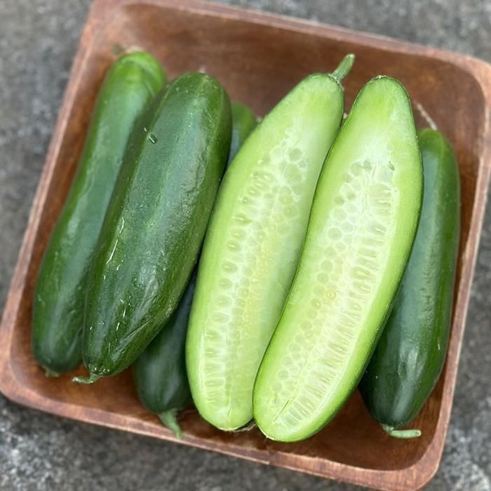 알뜰 국산 미니 오이 2kg 스낵 오이 한박스 꼬마 오이 장아찌 용 오이 오이지 오이 피클 용 오이 군위오이