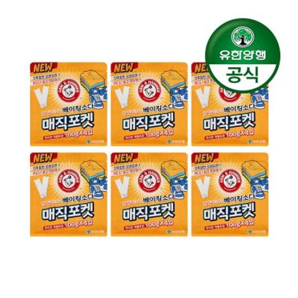 유한양행 암앤해머 매직포켓 옷장 냄새탈취제(100g 4입) 6개