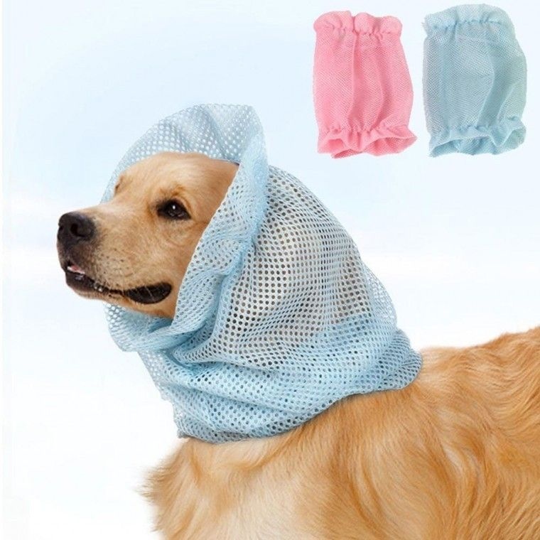 미니네 위탁업체 강아지 귀염증 매쉬 스누드 귀통풍 반려동물 귀덮개