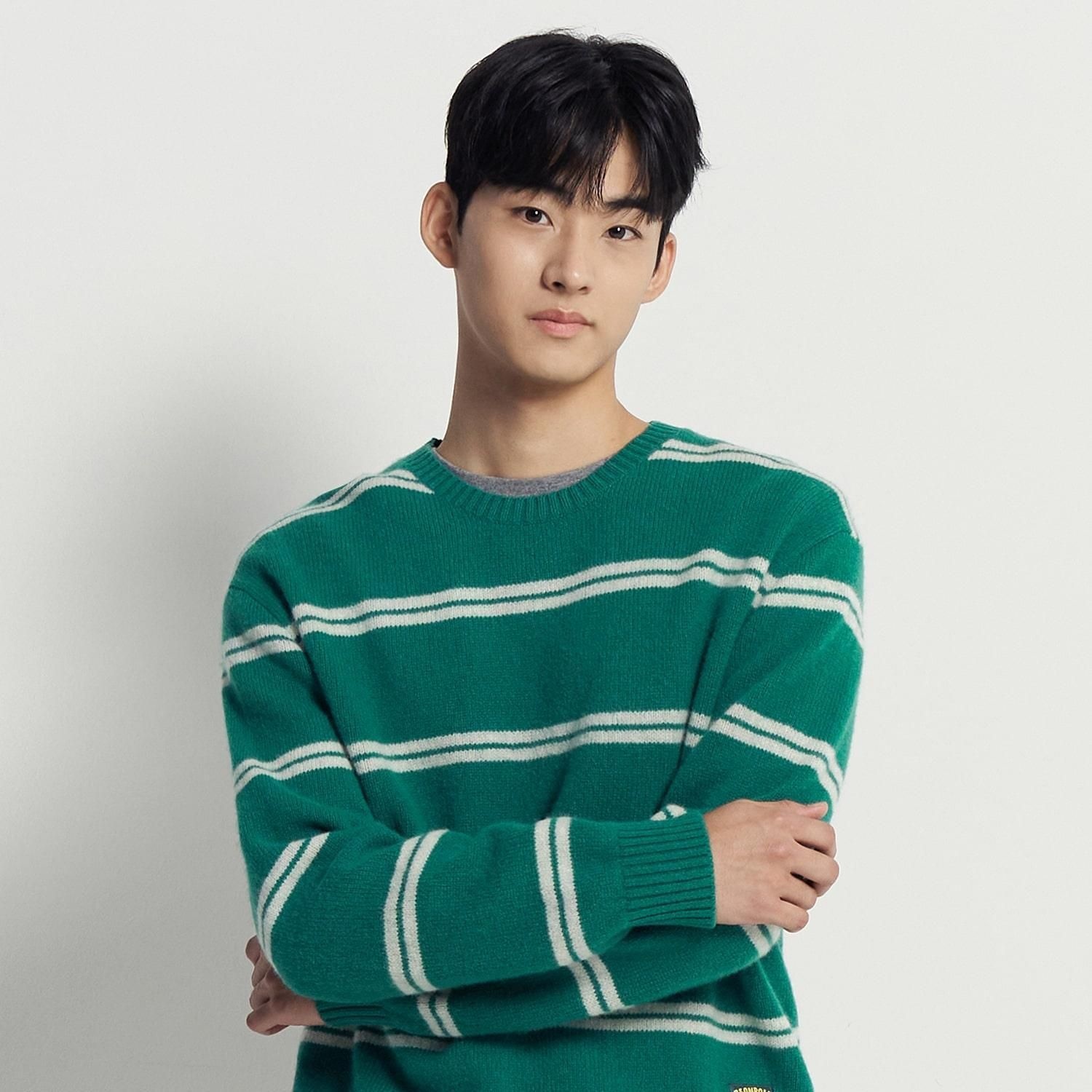 [롯데백화점] 빈폴 멘 푸즈예티 스트라이프 니트 - 그린 (BC5X51C61M) LE1220433483