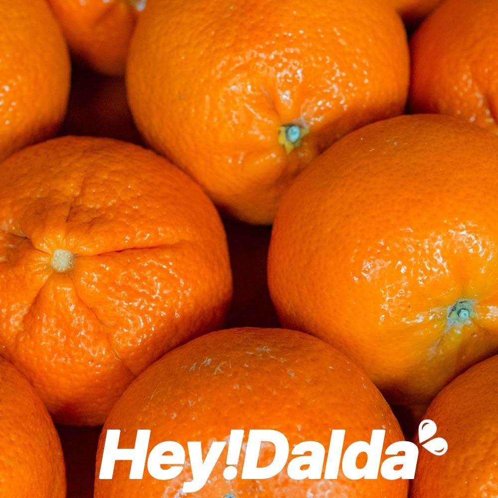 [헤이달다] 25년 햇 제주 감귤  5kg 10kg 제주 귤 특별구성