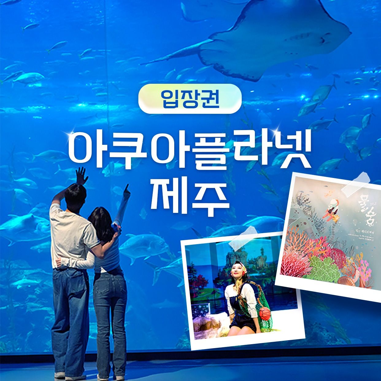 한화아쿠아플라넷 아쿠아플라넷 제주 입장권 & 늦은오후권 (25.11월)