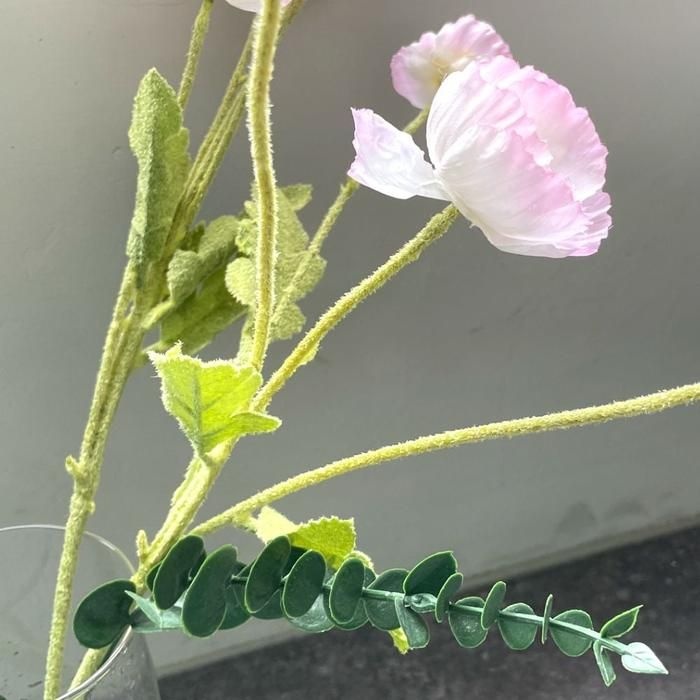 [아우트]인테리어 파츠 촬영소품 유칼립투스 B