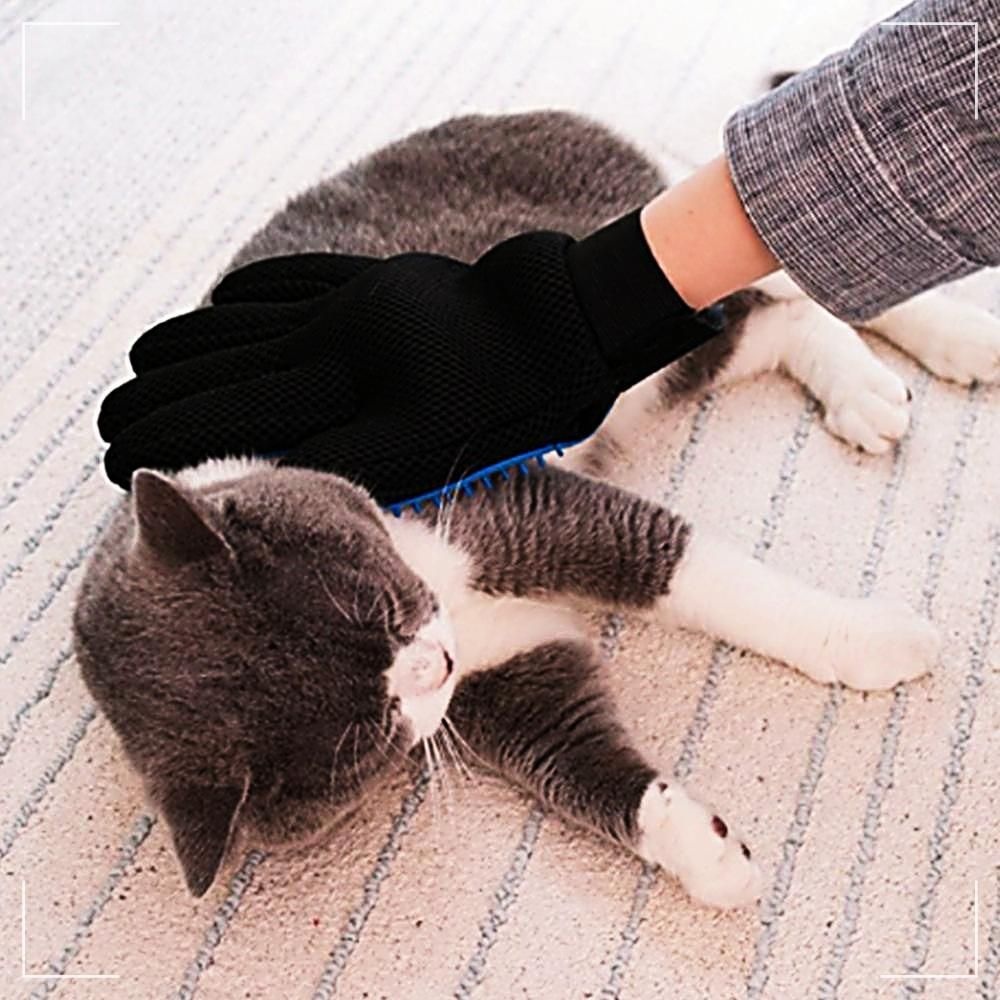 어니스트마켓 브러쉬 대형견 학교 고양이 사무실 털갈이 제거 글러브 털 장갑