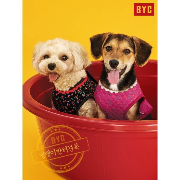 BYC [BYC 본사] 반려견용 개리야스 강아지 김장조끼 ODA0005970631