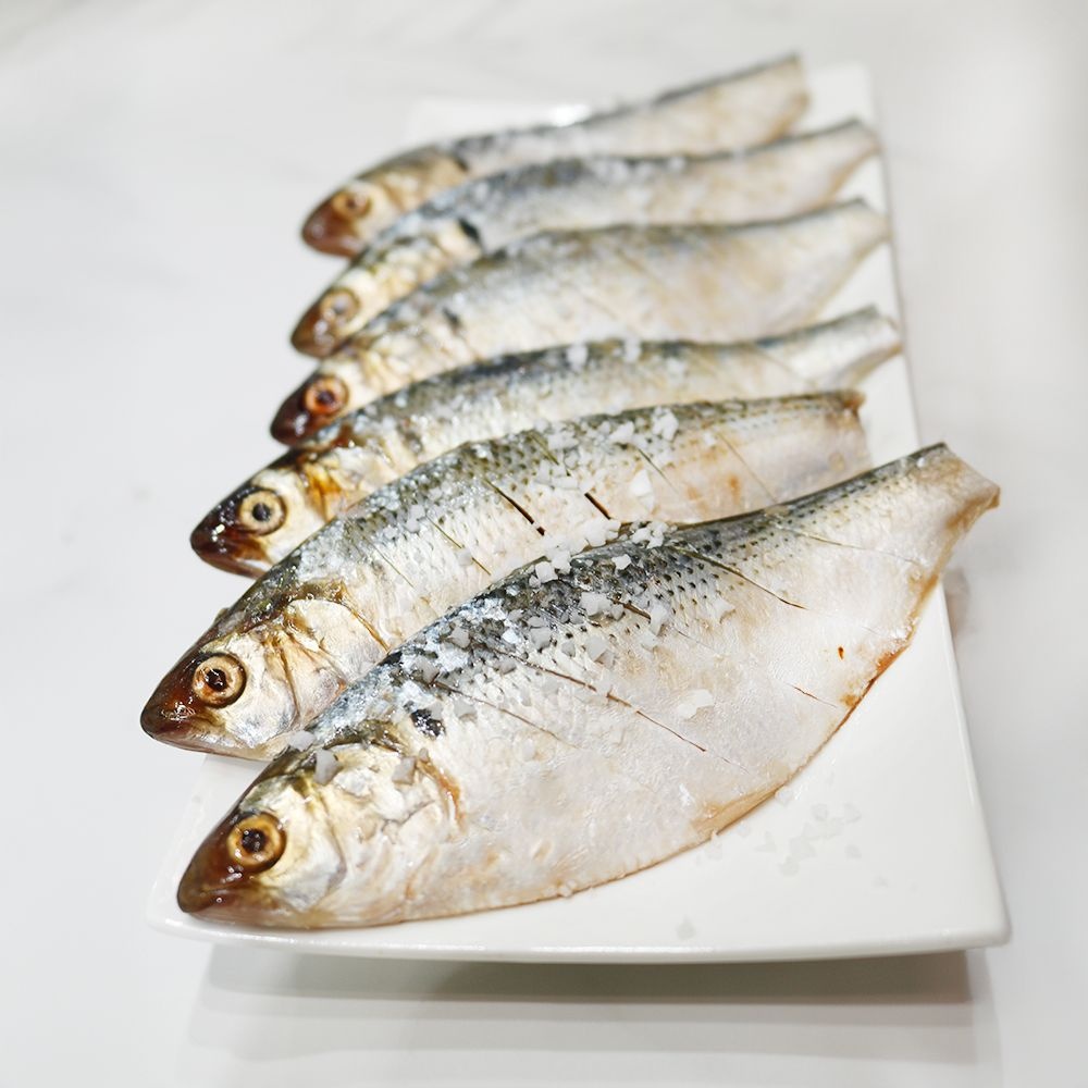 남해안 생물 전어 500g(5~10미)구이용 가을전어