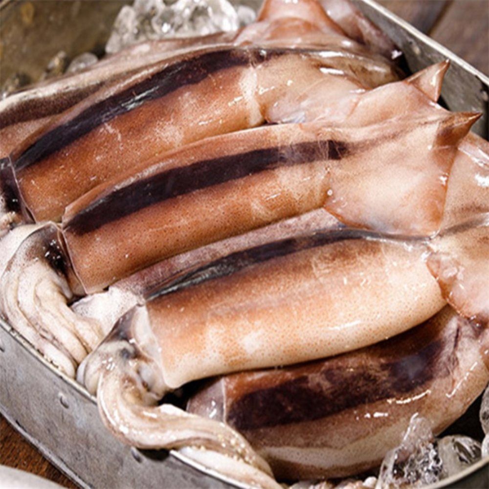 유쎌몰협력사 유쎌스토어 피데기 반건조 오징어 5미 350G 생물오징어 냉동오징어