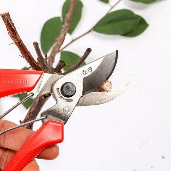 작업용가위 전지가위 함석가위 나무가위 양파가위 과수원가위 한신 원예가위 모음a 다목적가위