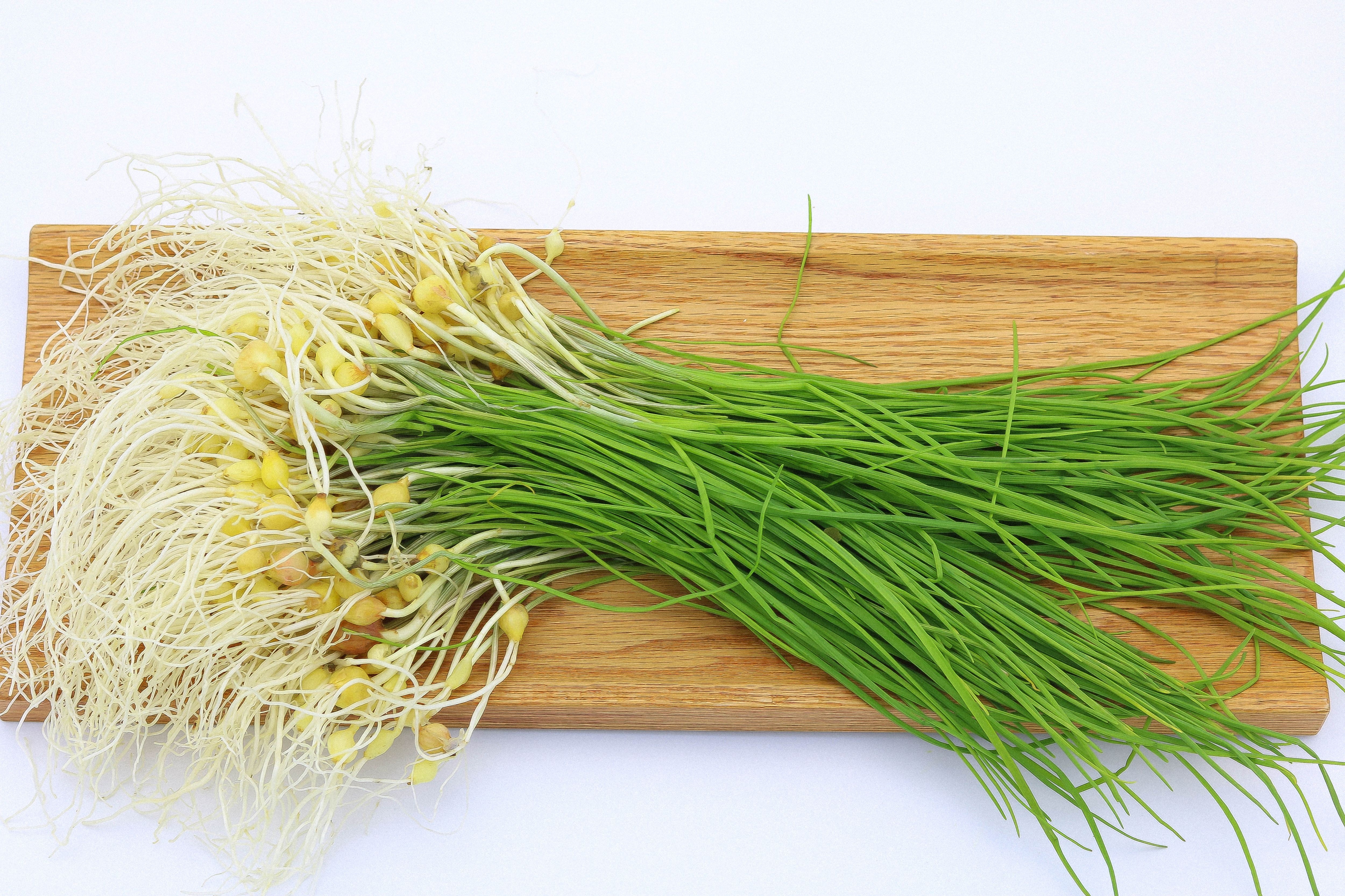 주니팜스 협력사 국내산 달래 향긋한 봄나물 제철 산나물 산지직송 100g