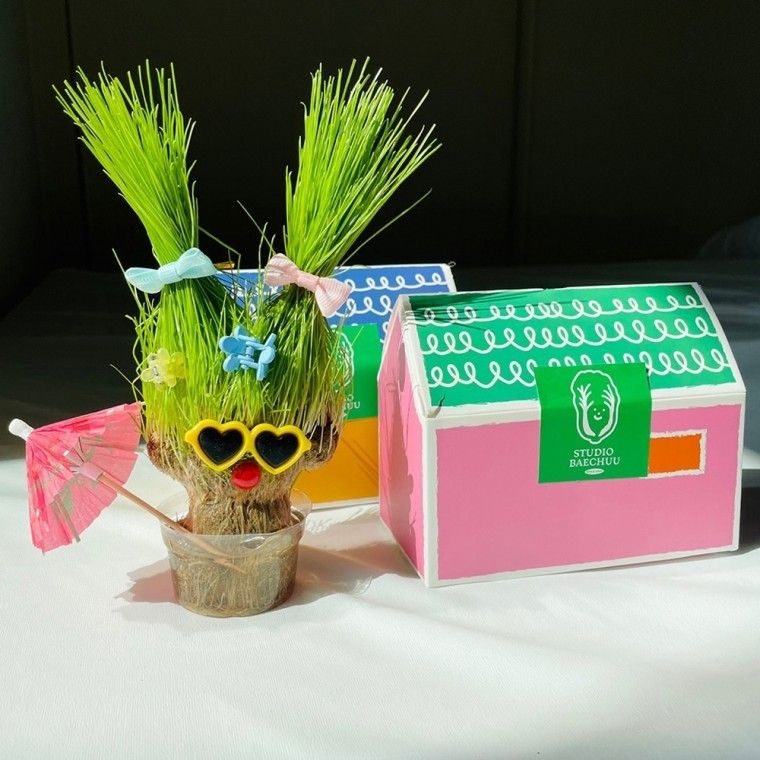 선물스페이스  잔디인형 키우기 잔디 만들기 키트