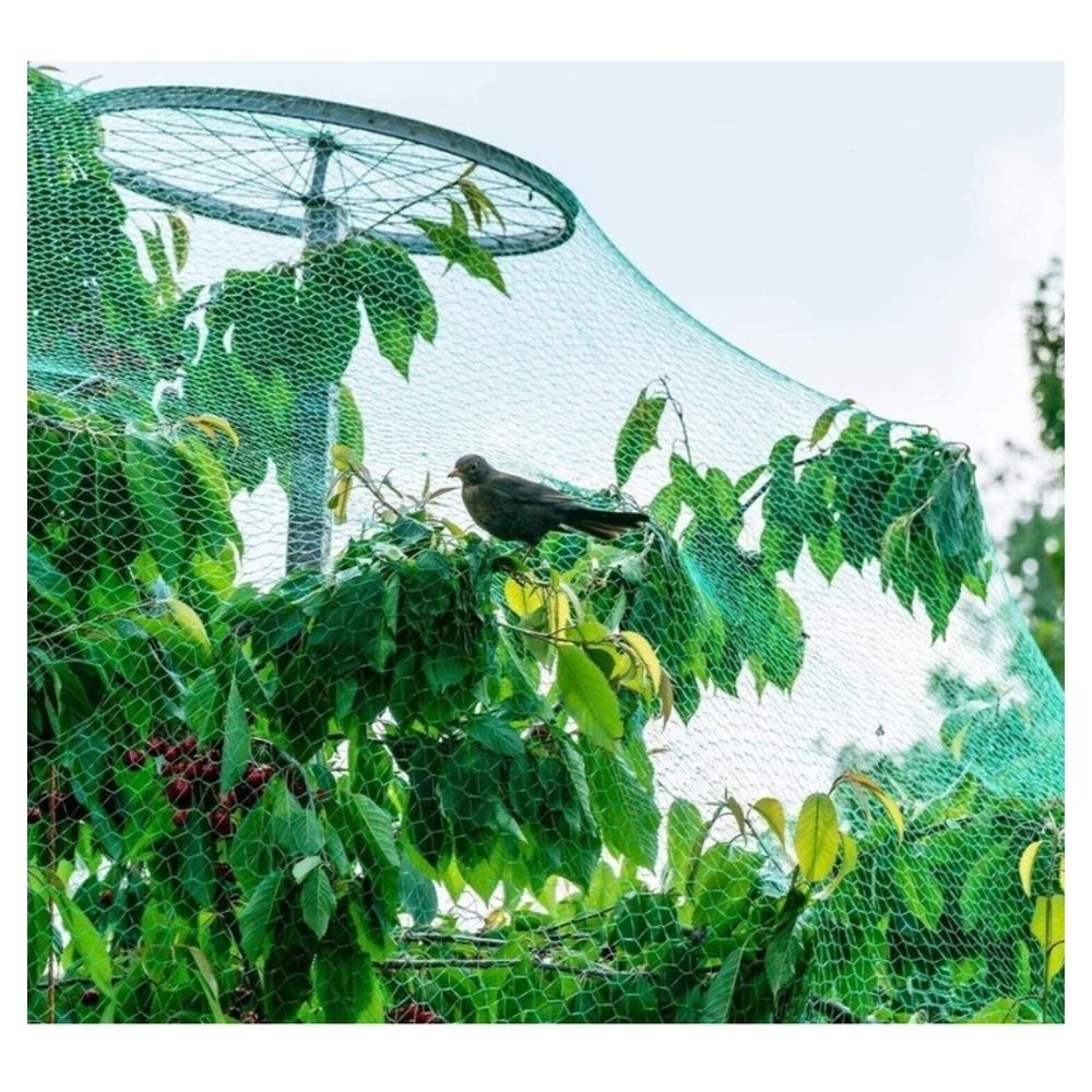 밭작물망 조류방지망 농작물피해망 원예용망 4x10M